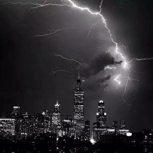 Meet your Posher, Bobby